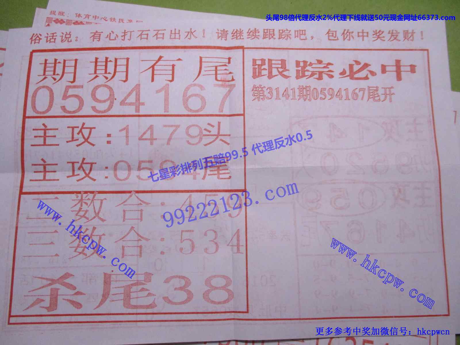 尾中王B.JPG