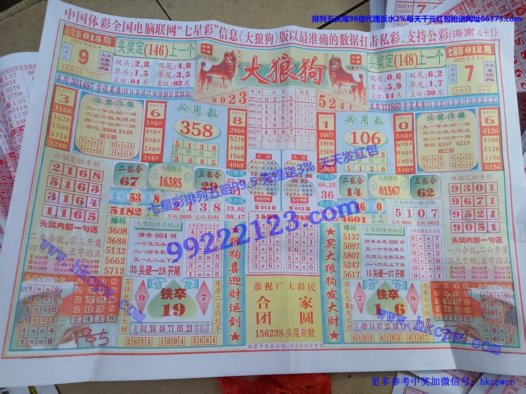 大狼狗 (1).jpg