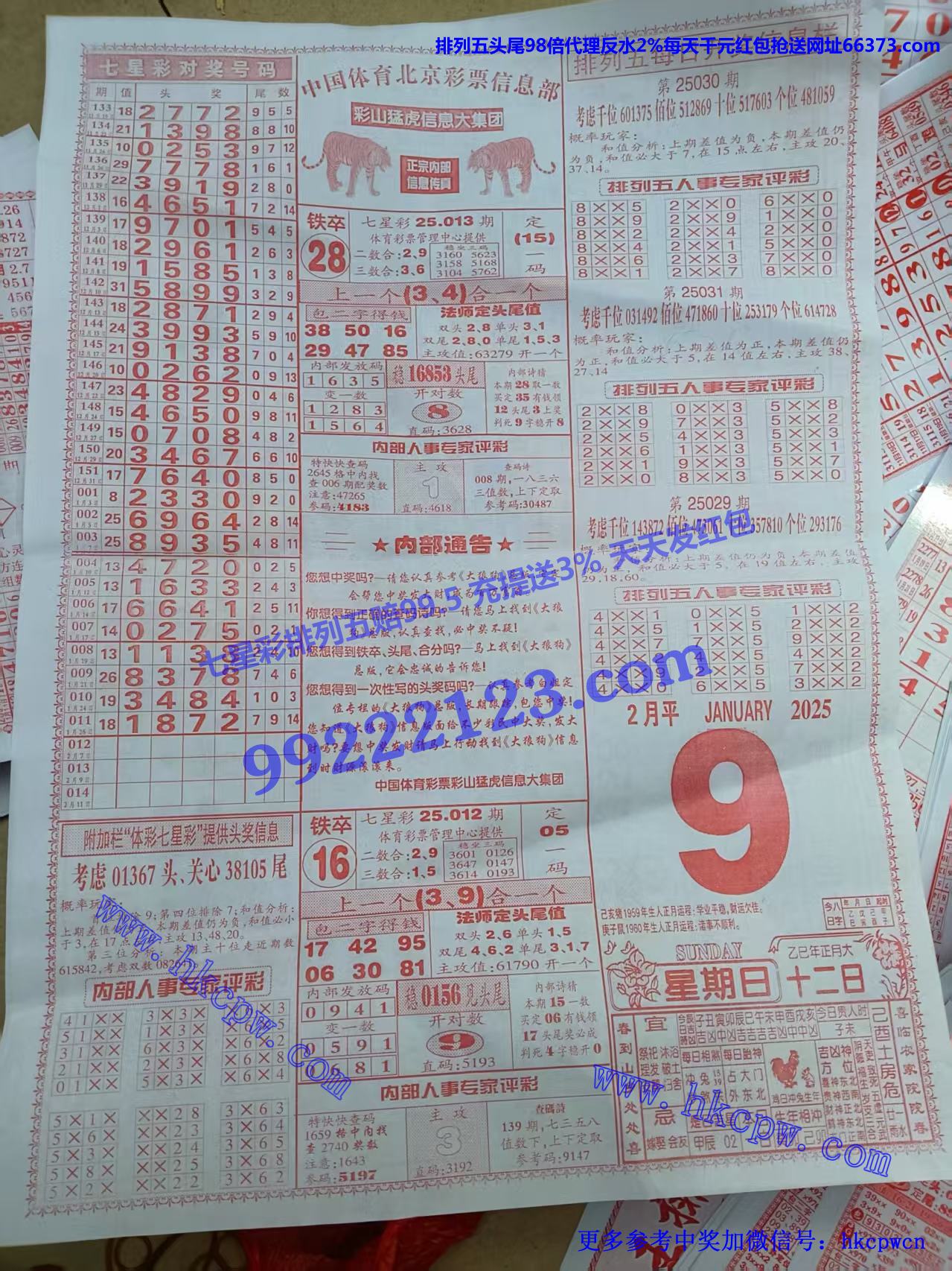 大狼狗 (2).jpg