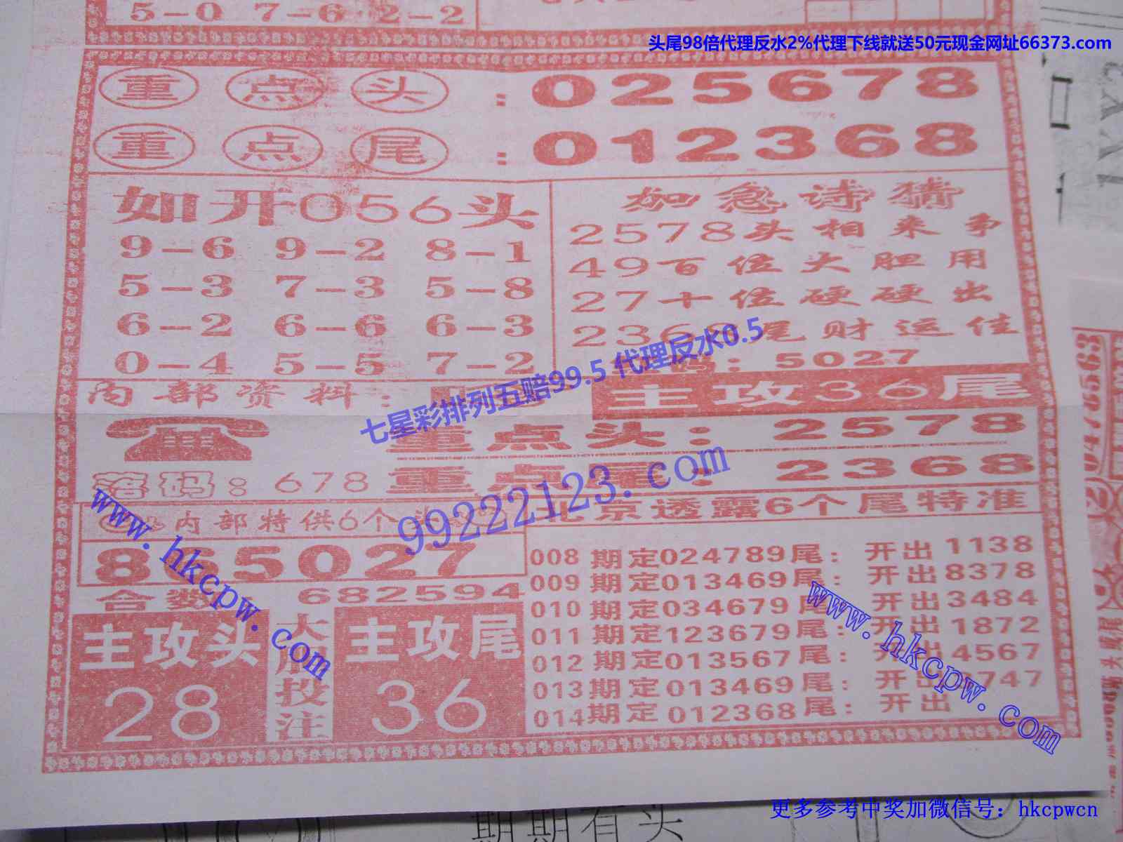 赶尾回家B.JPG
