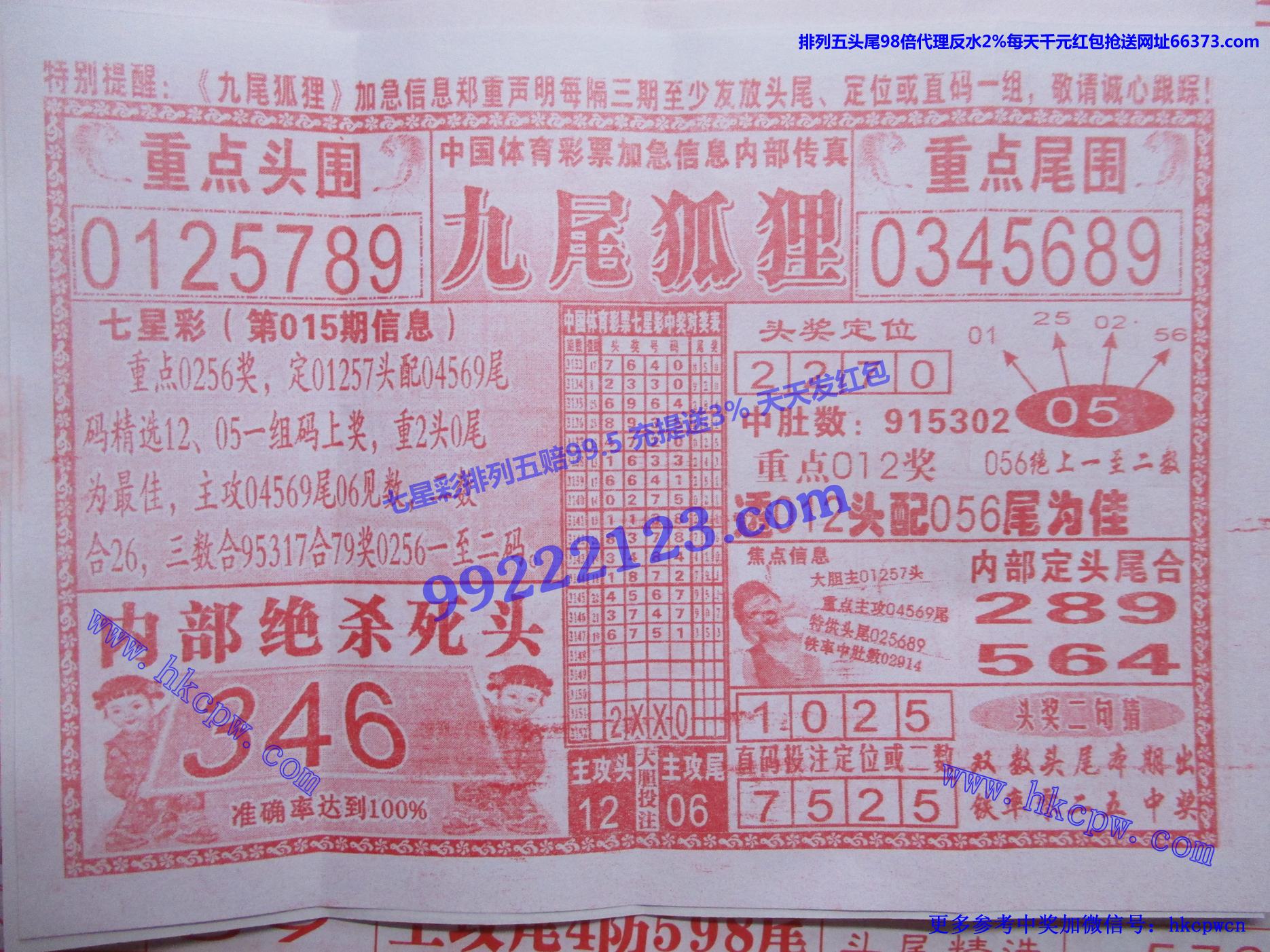 九尾狐狸.jpg