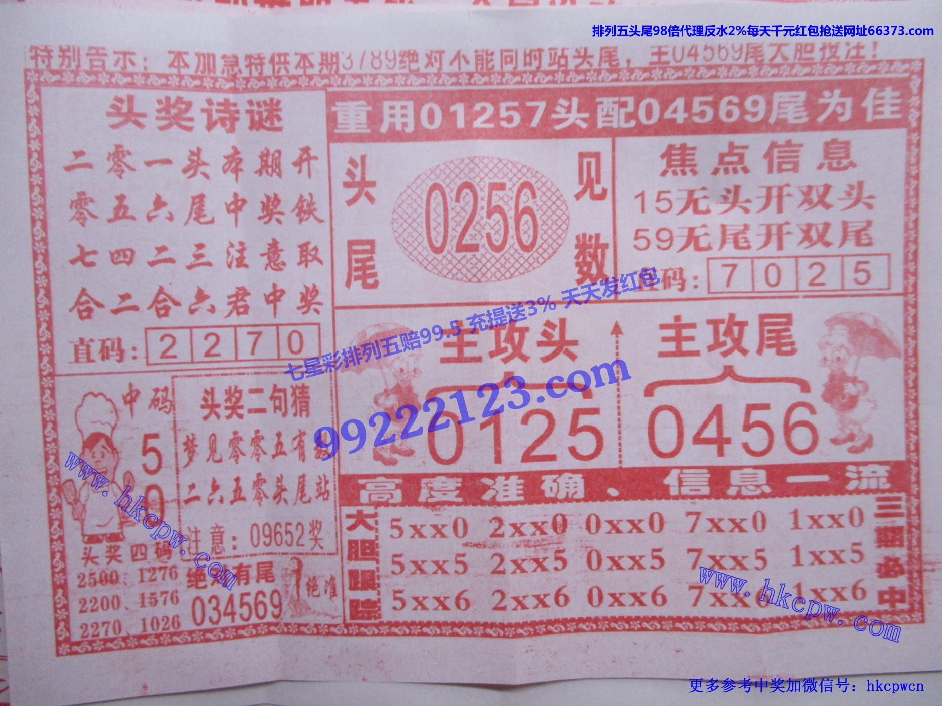 九尾狐狸B.jpg