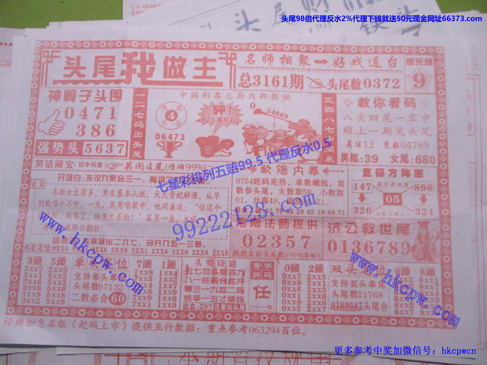 头尾我做主.JPG