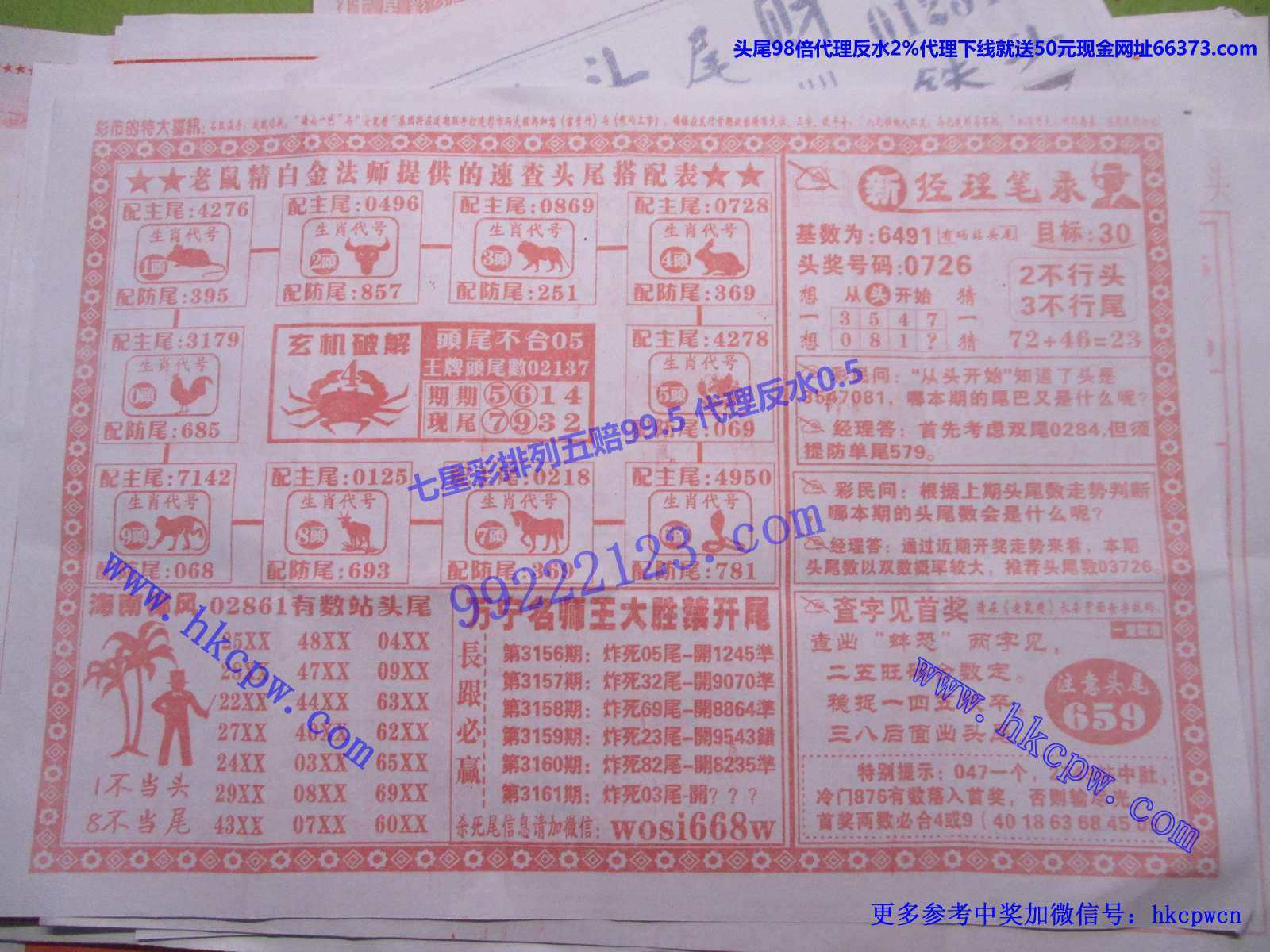 头尾我做主B.JPG
