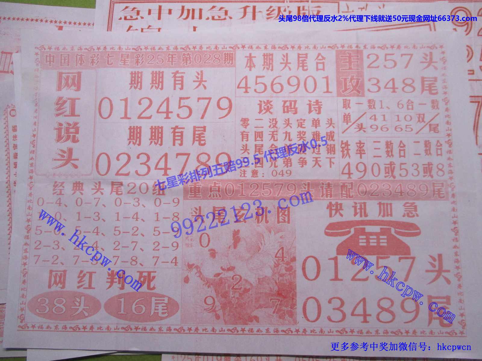 网红说头.JPG