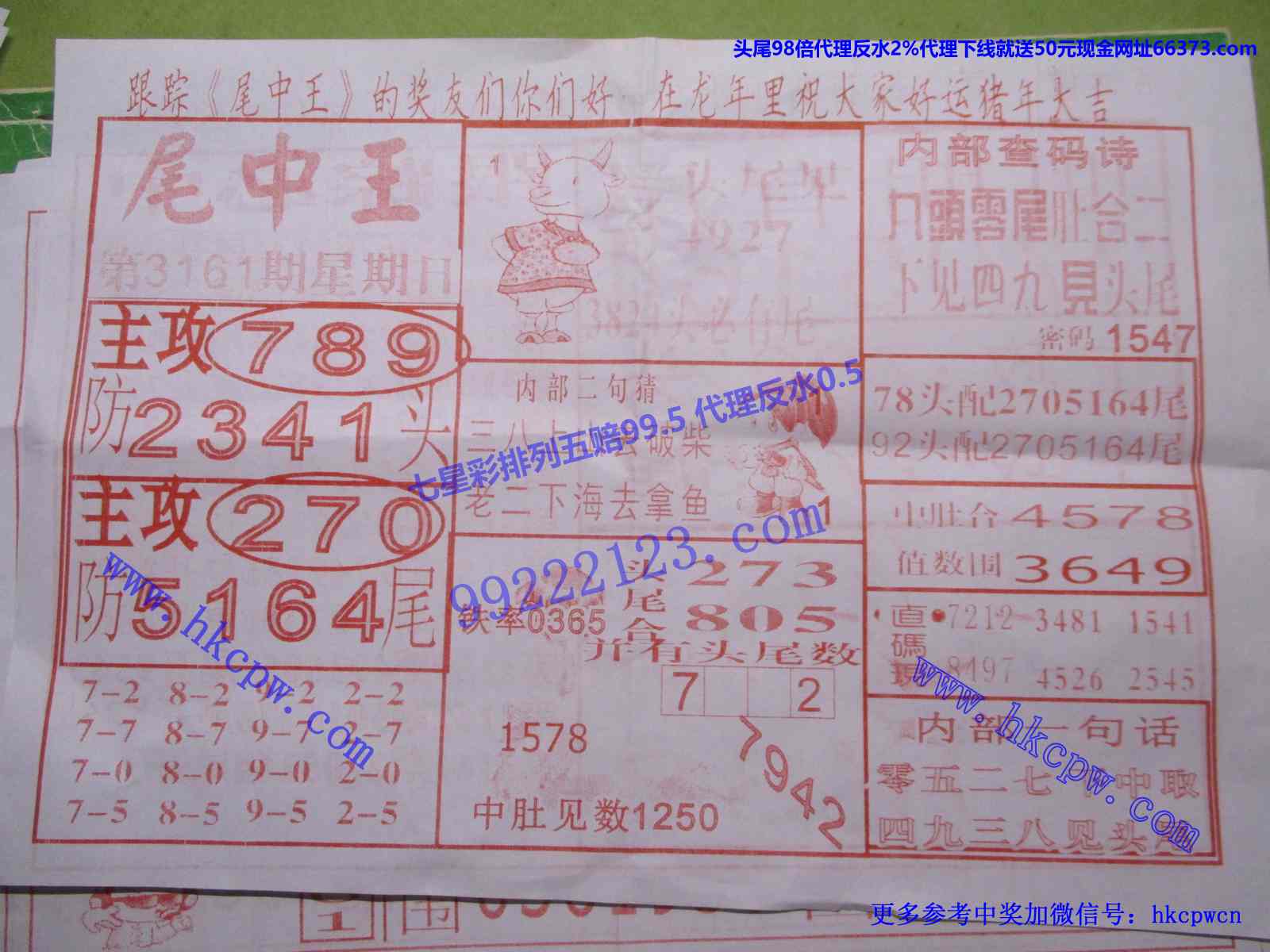 尾中王.JPG