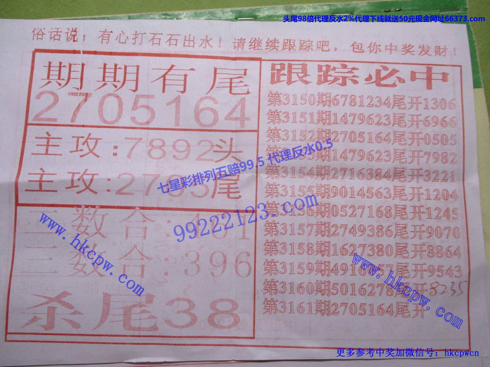 尾中王B.JPG
