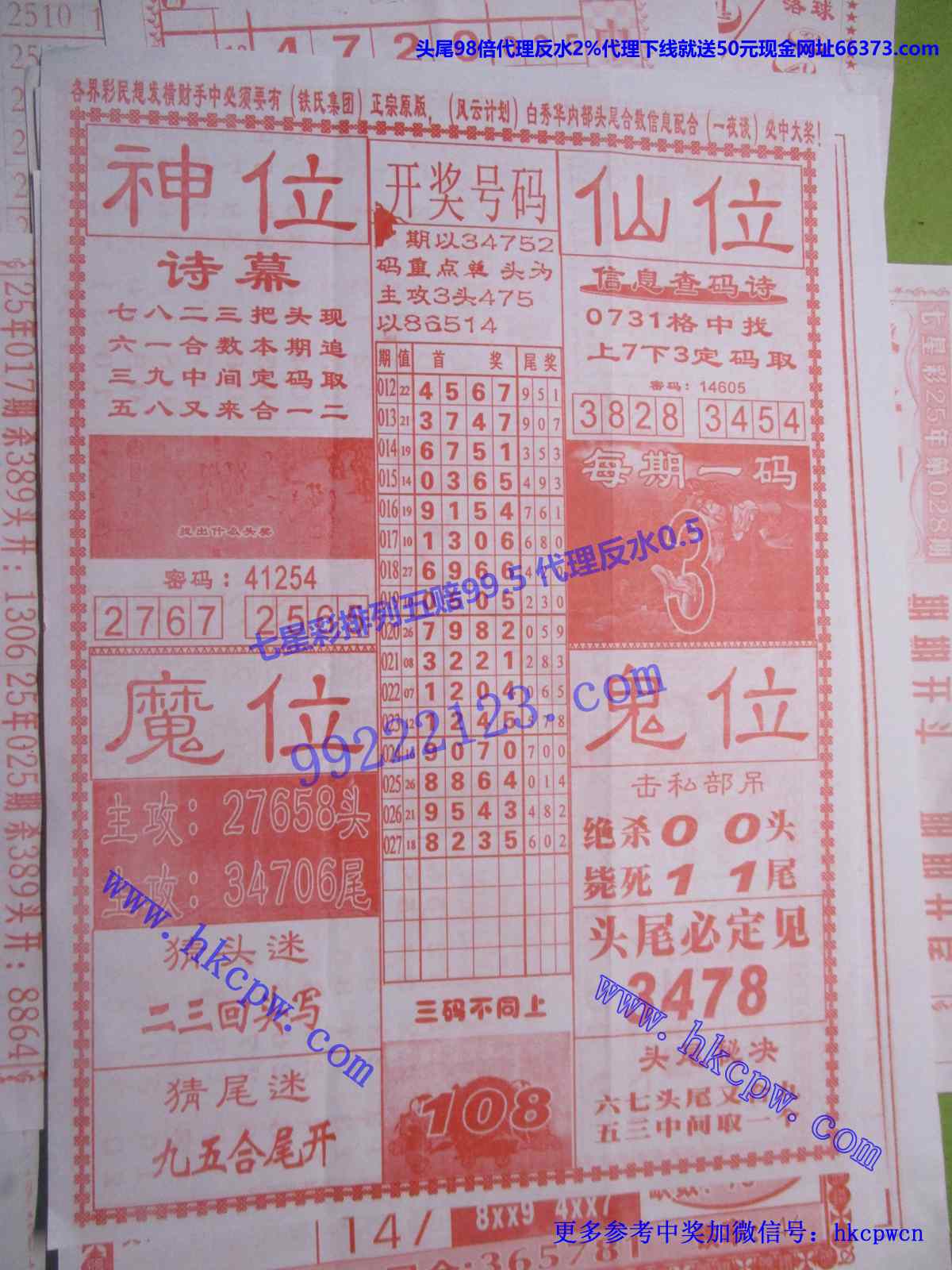 仙人献码B.JPG