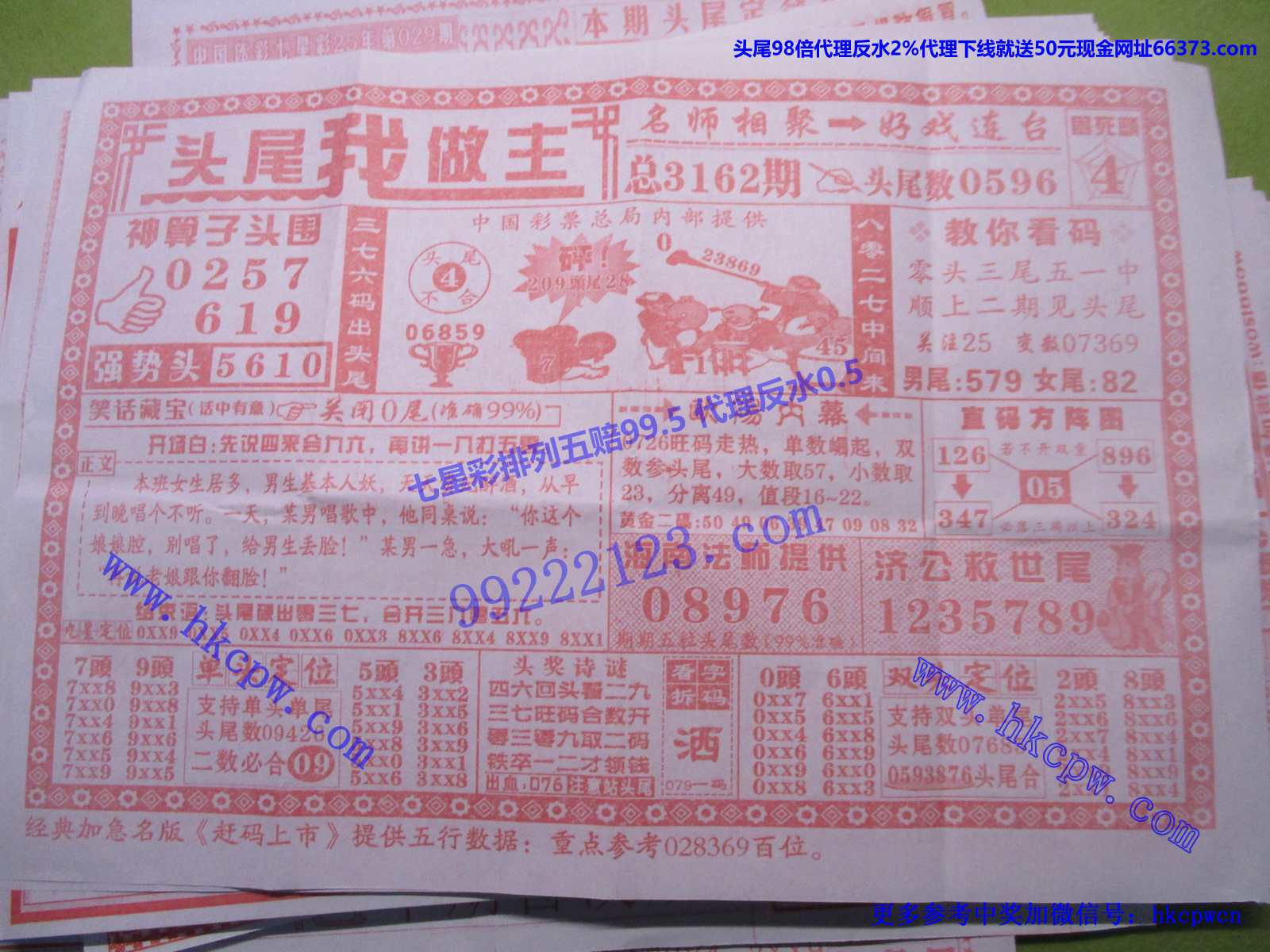 头尾我做主.JPG