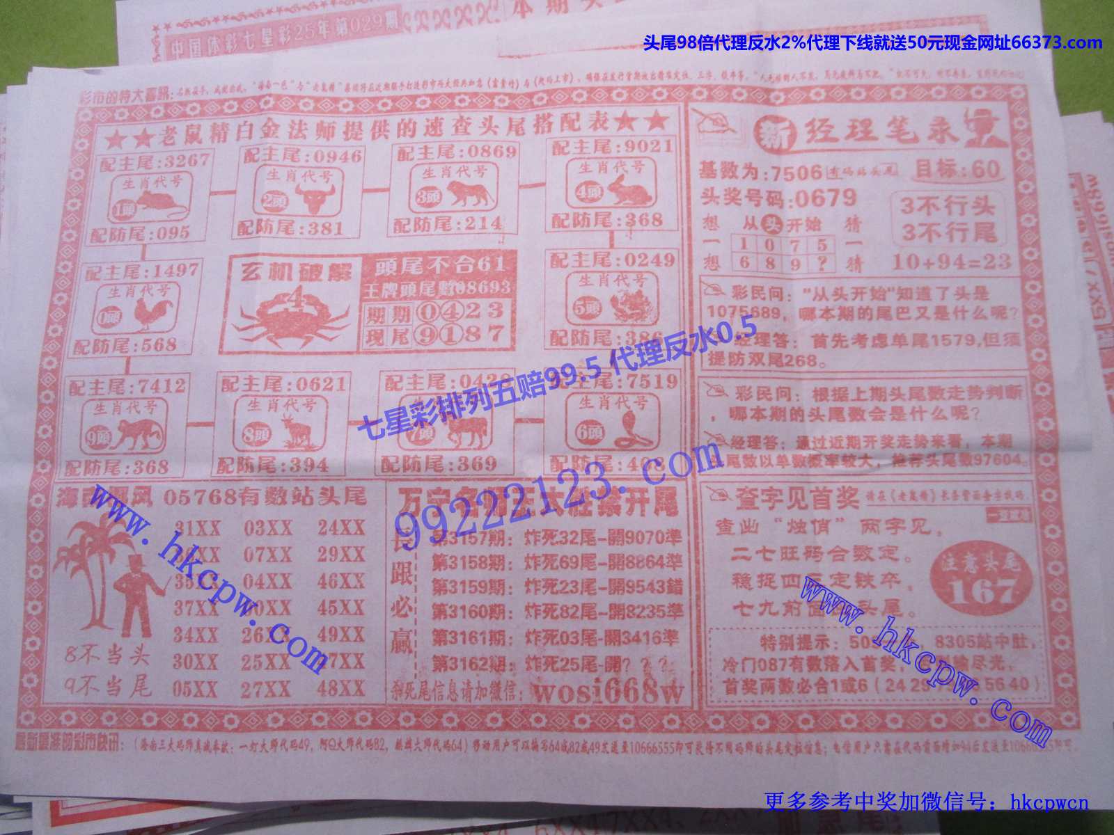 头尾我做主B.JPG