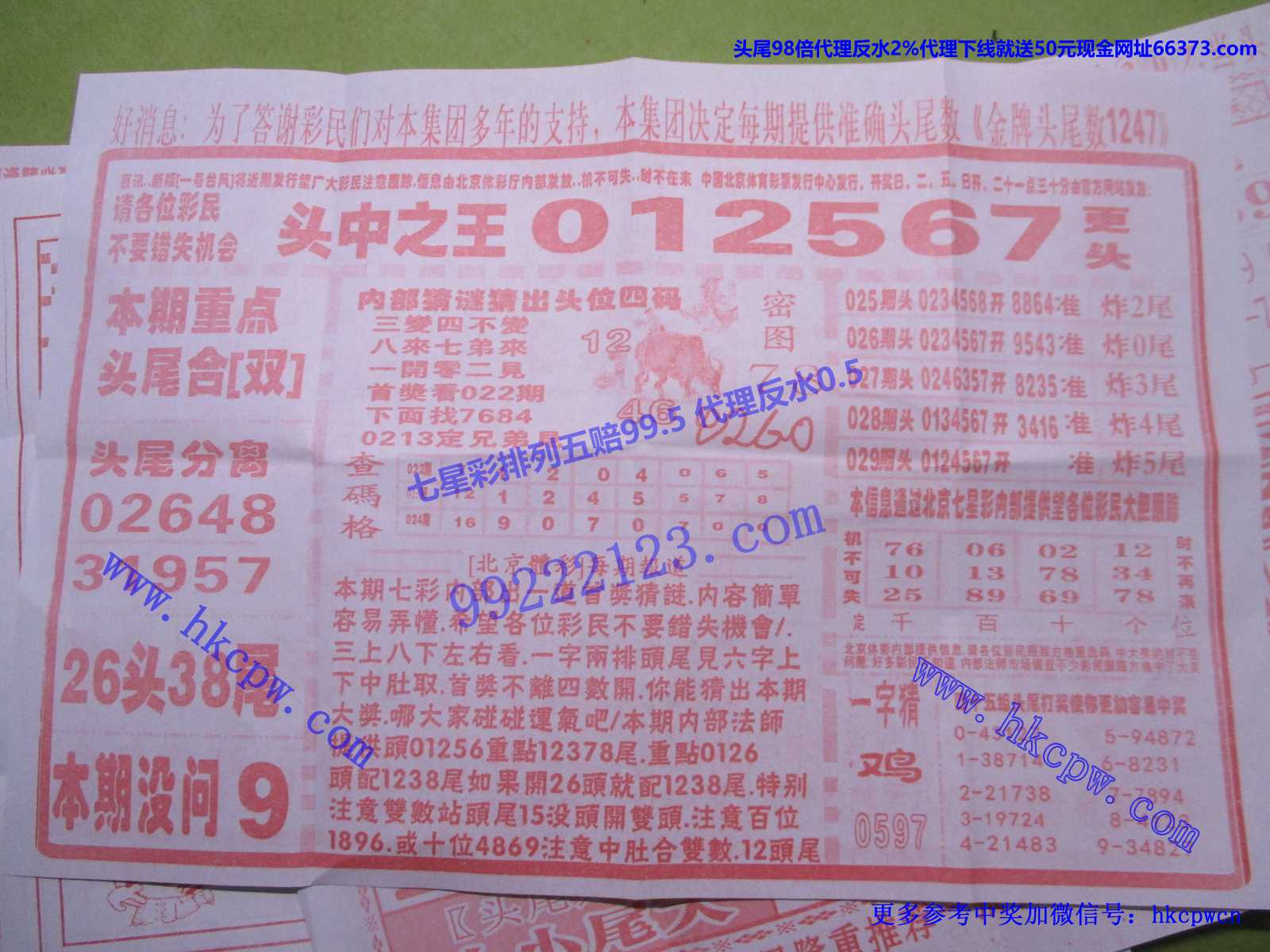 头中王B.JPG