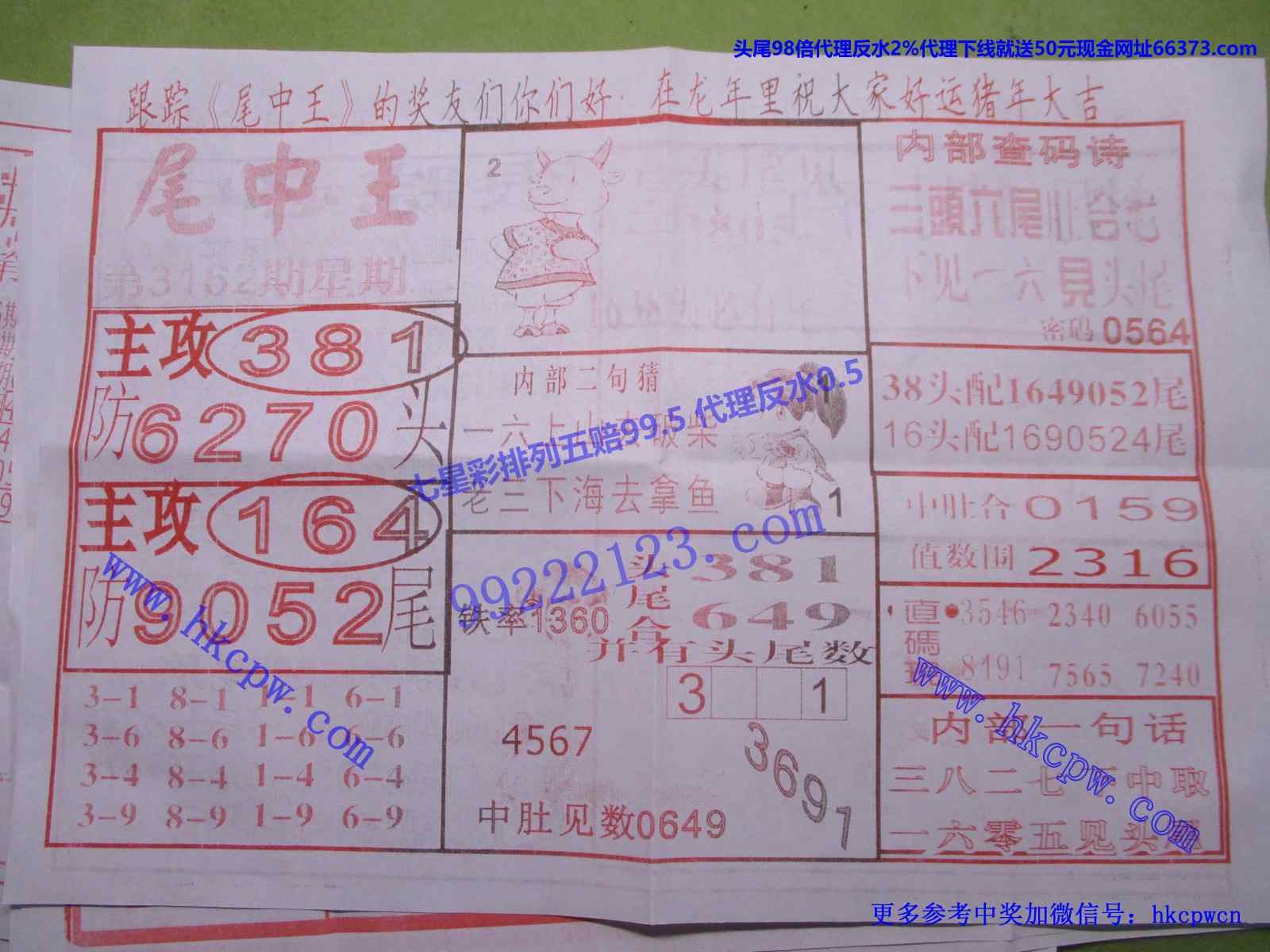 尾中王.JPG