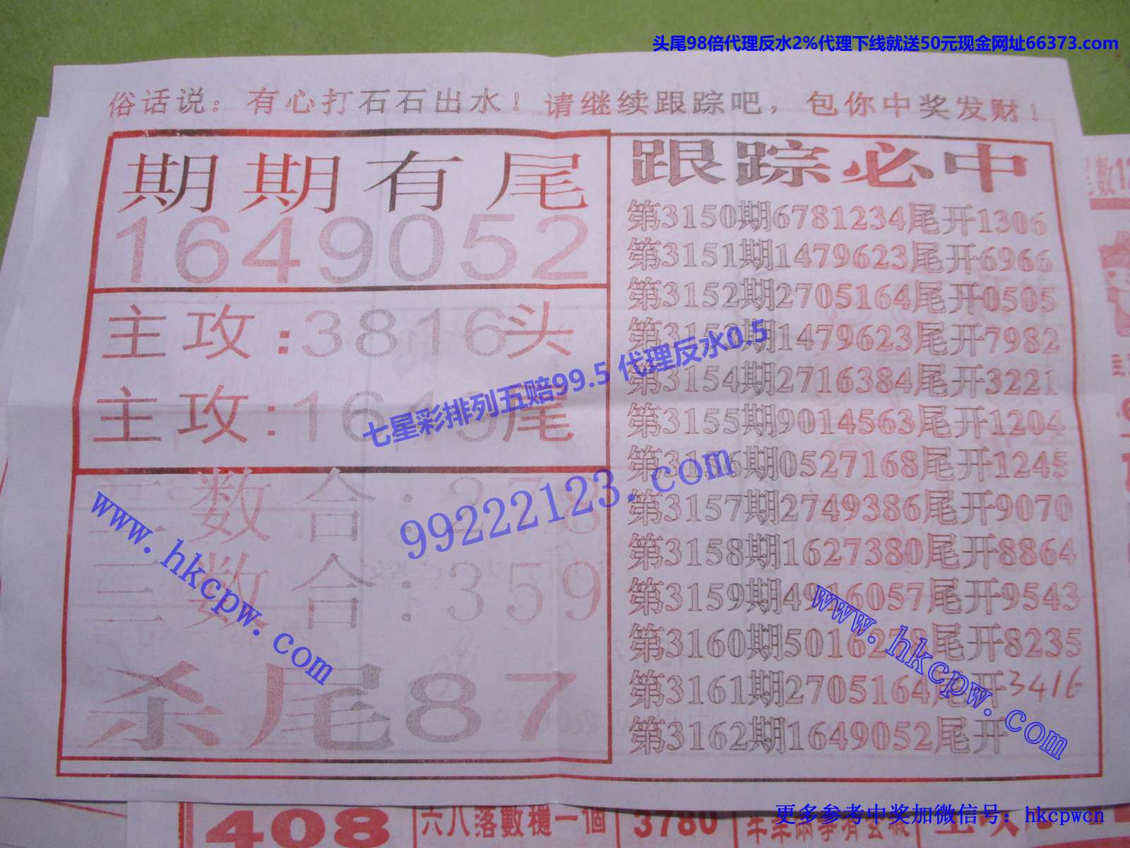 尾中王B.JPG