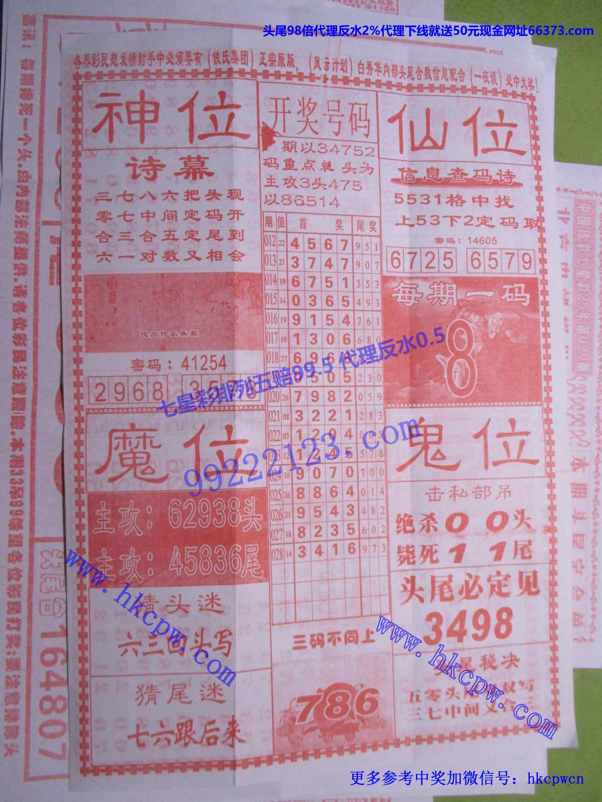 仙人献码B.JPG
