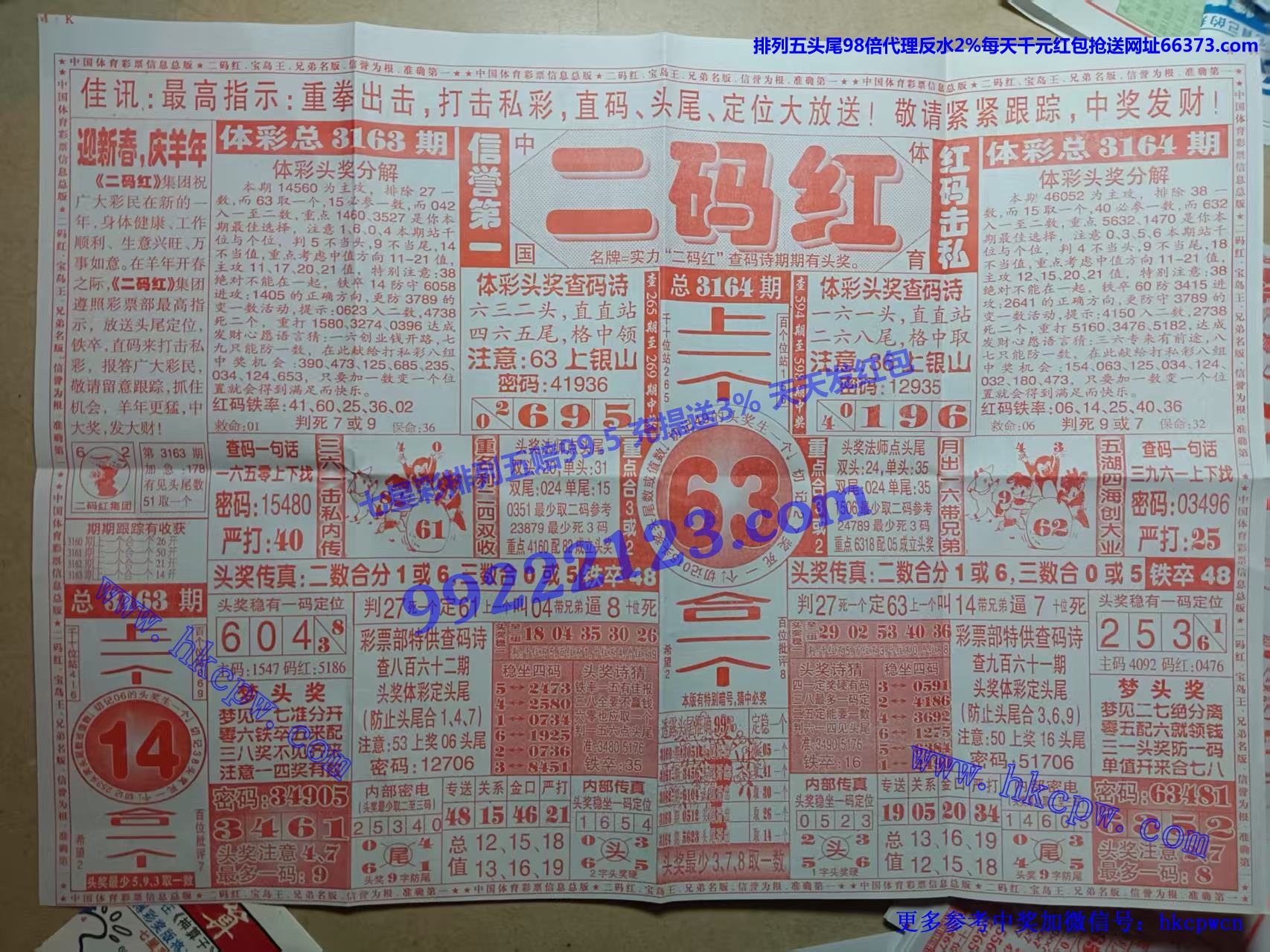 .jpg
