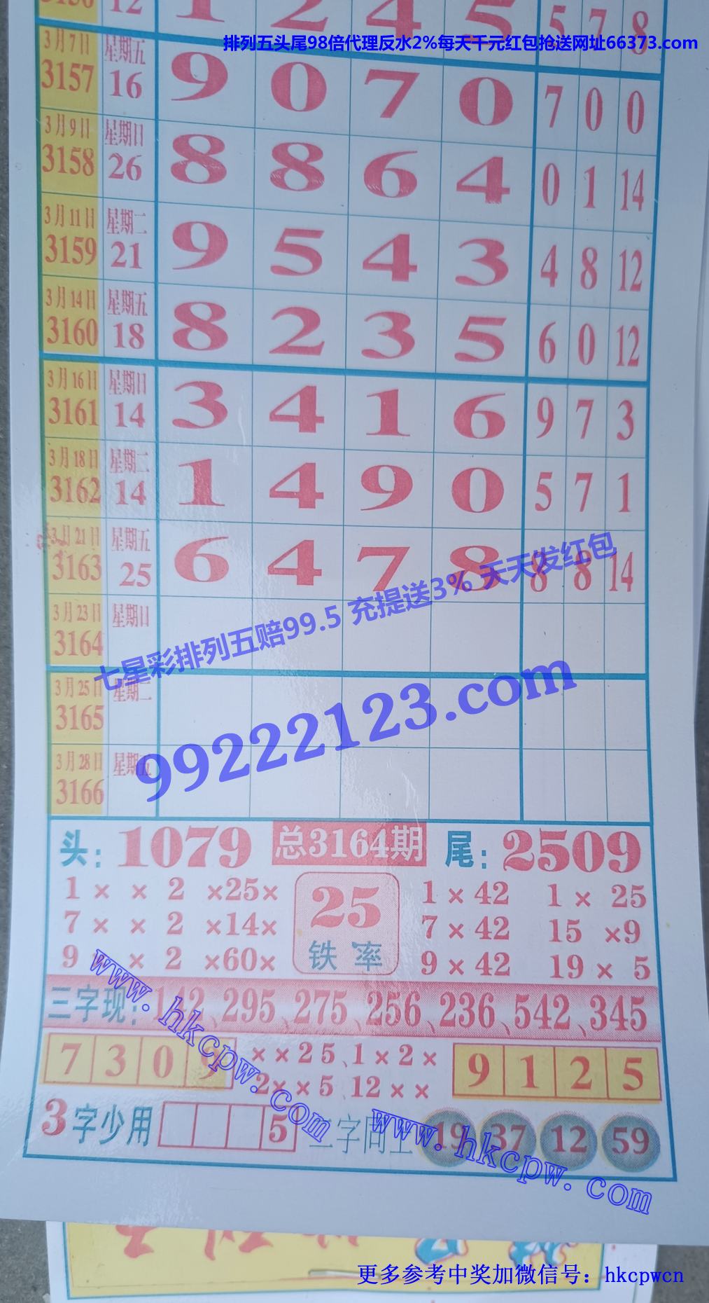 精品七星彩.jpg