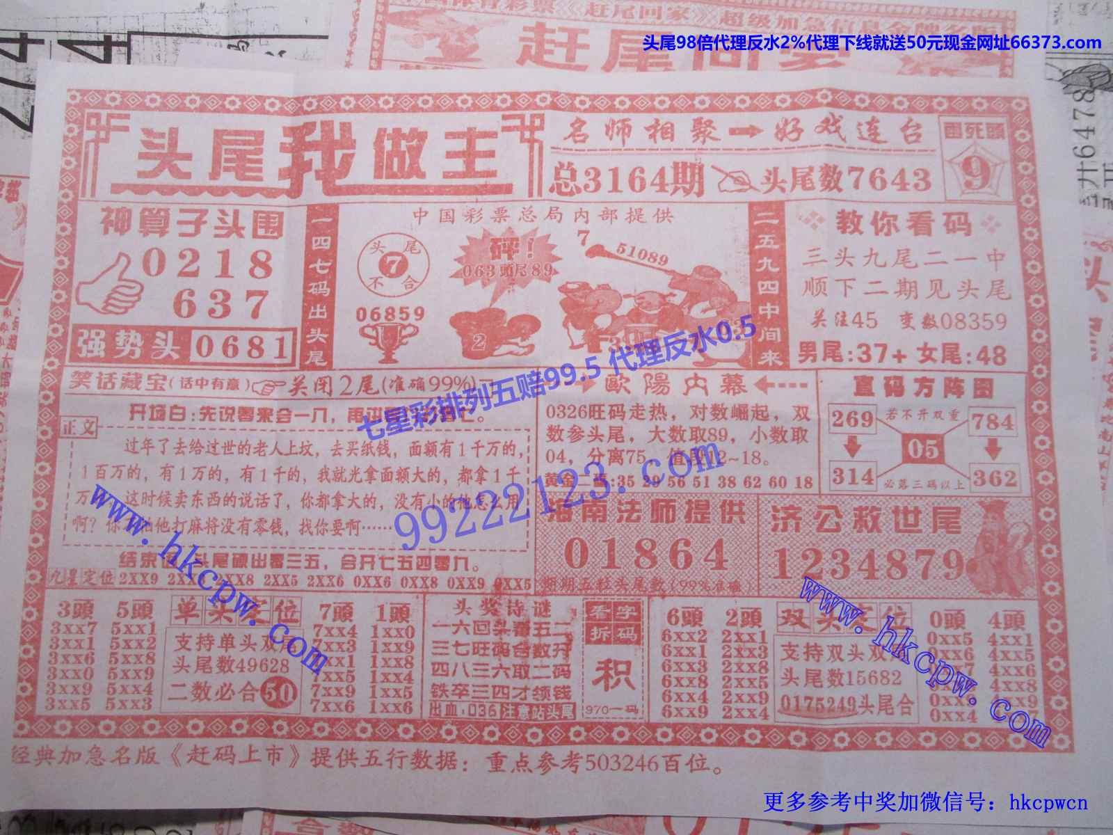 头尾我做主.JPG