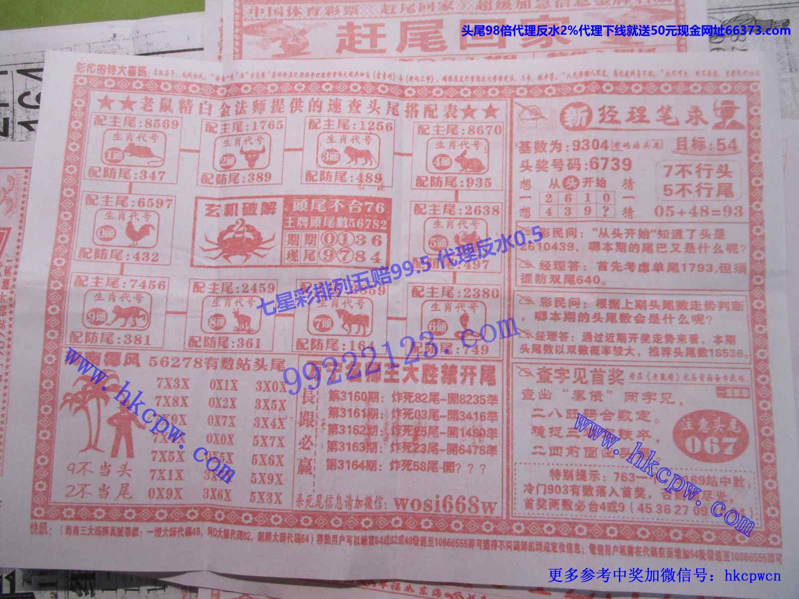 头尾我做主B.JPG