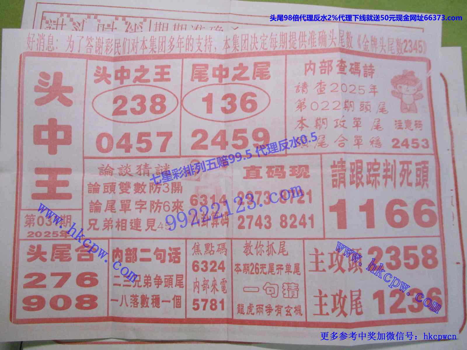 头中王.jpg