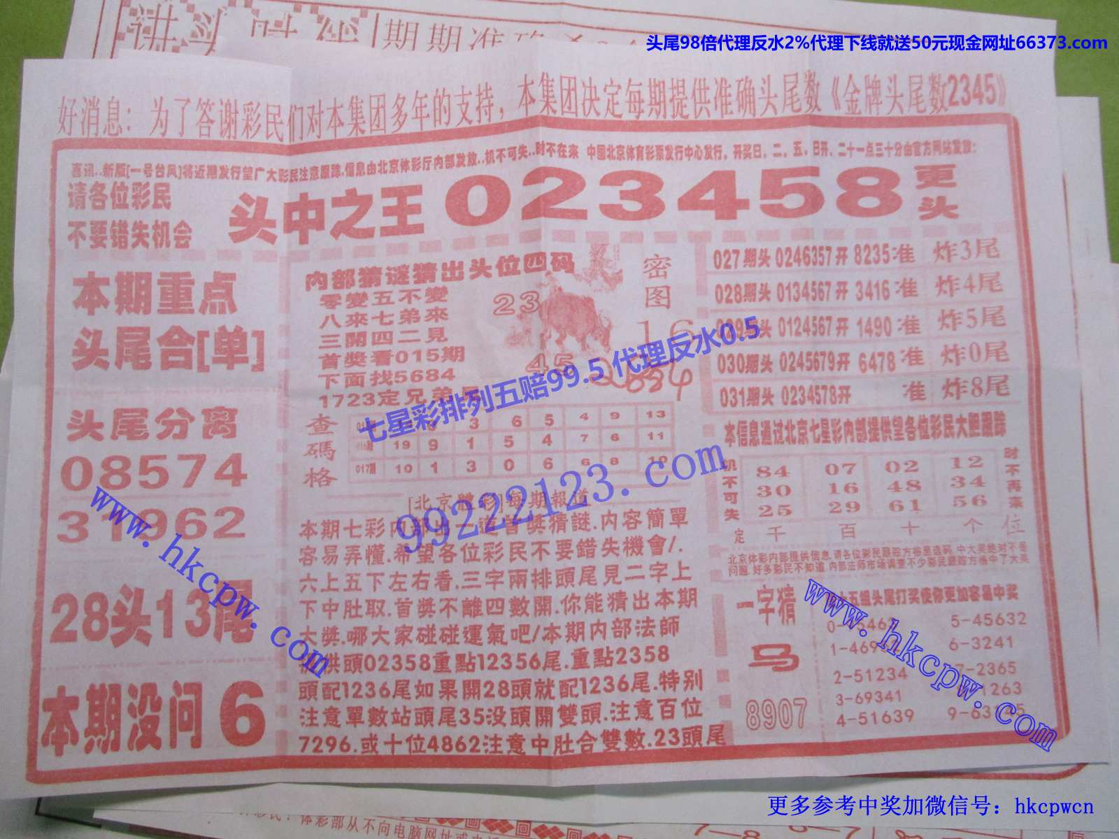 头中王B.jpg