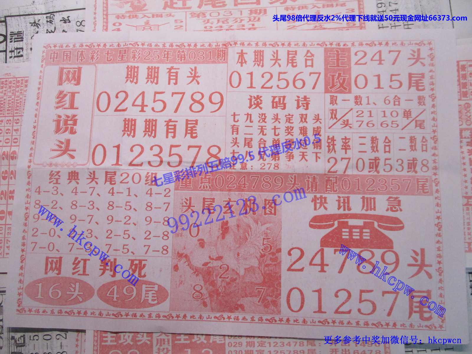 网红说头.JPG
