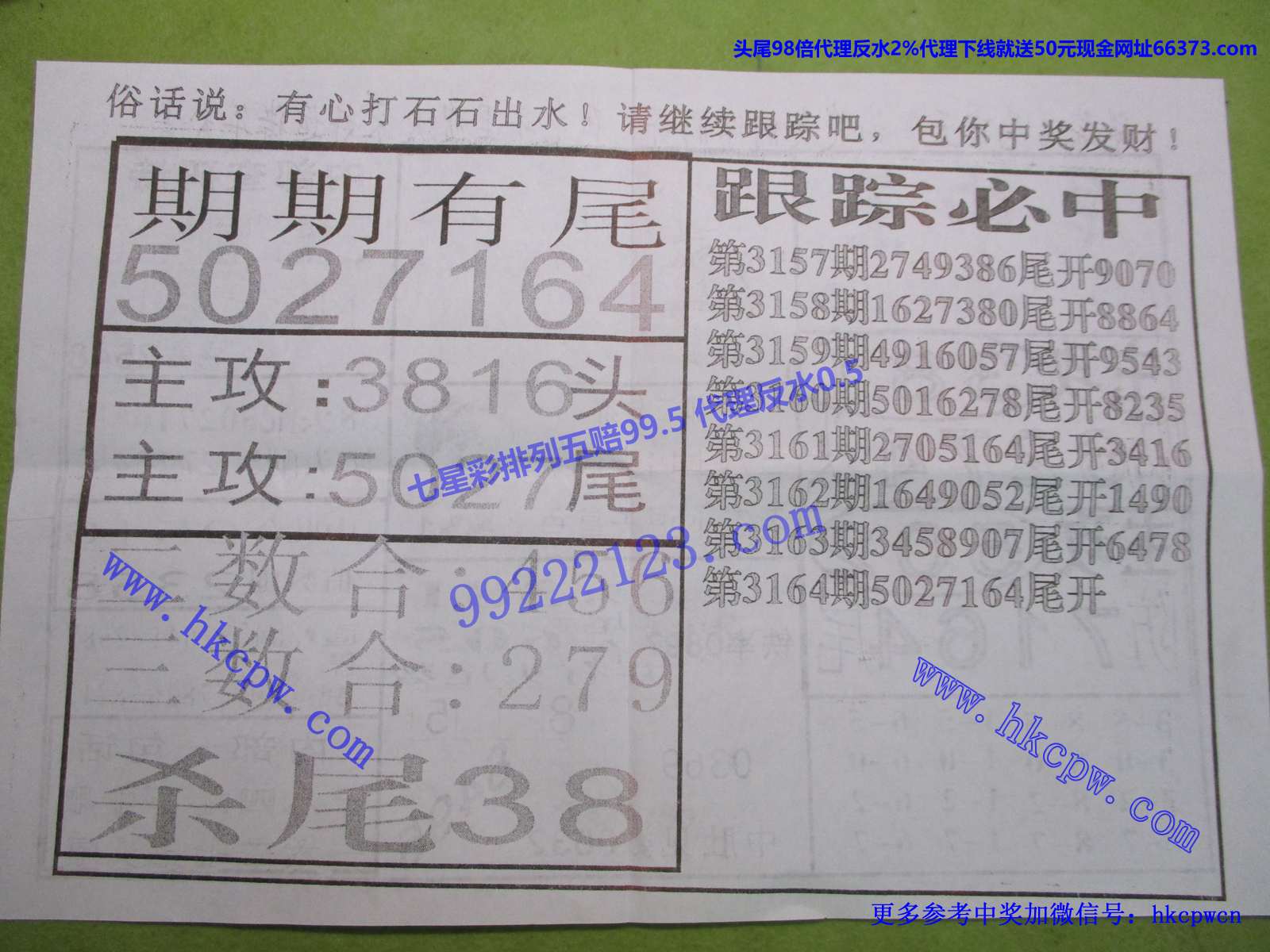 尾中王B.jpg