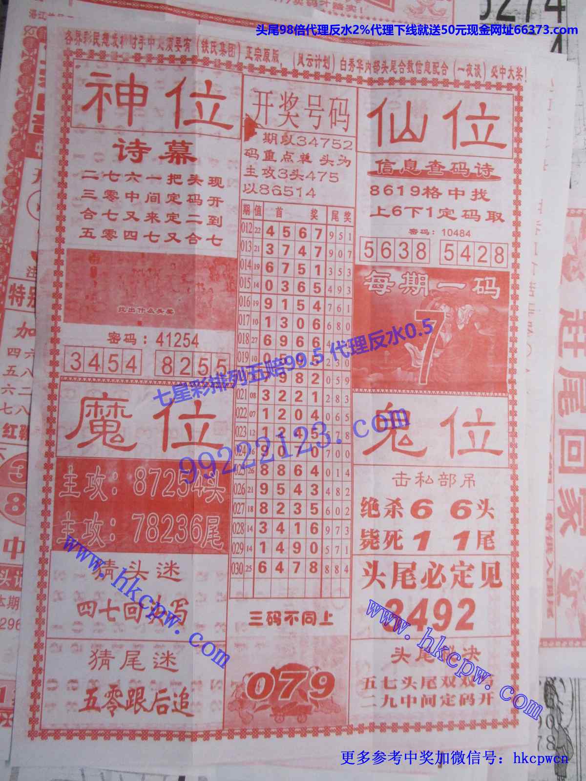 仙人献码B.JPG