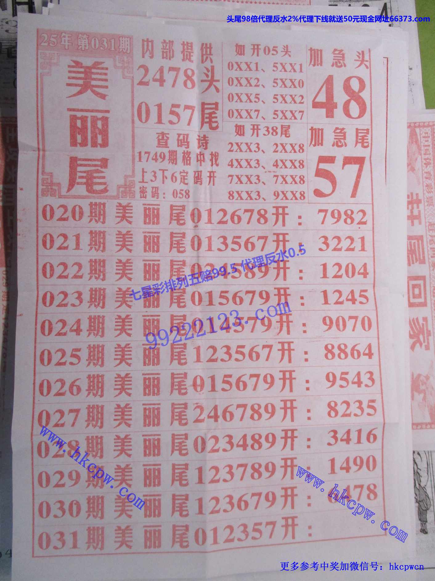 美丽尾B.jpg