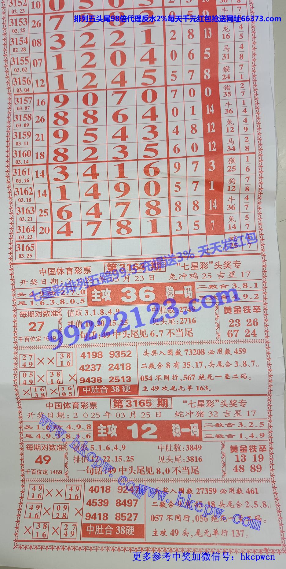 九九红 (1).jpg