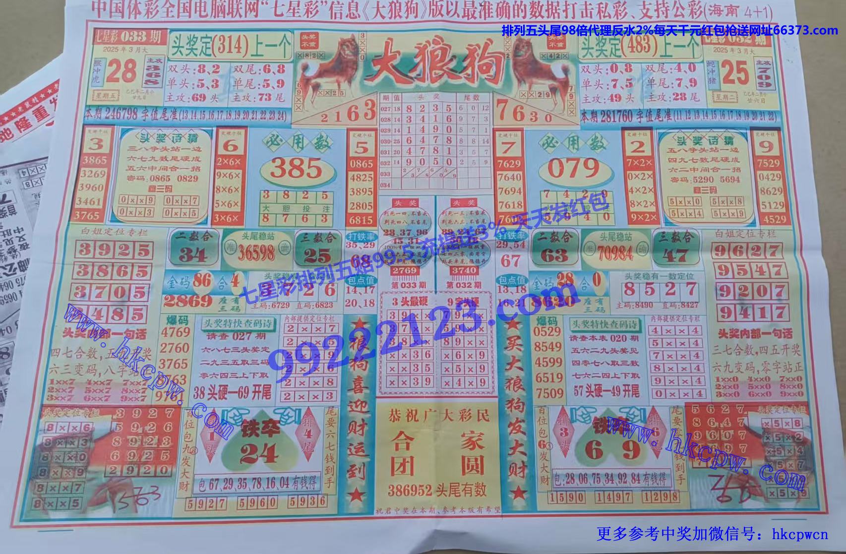 大狼狗 (1).jpg