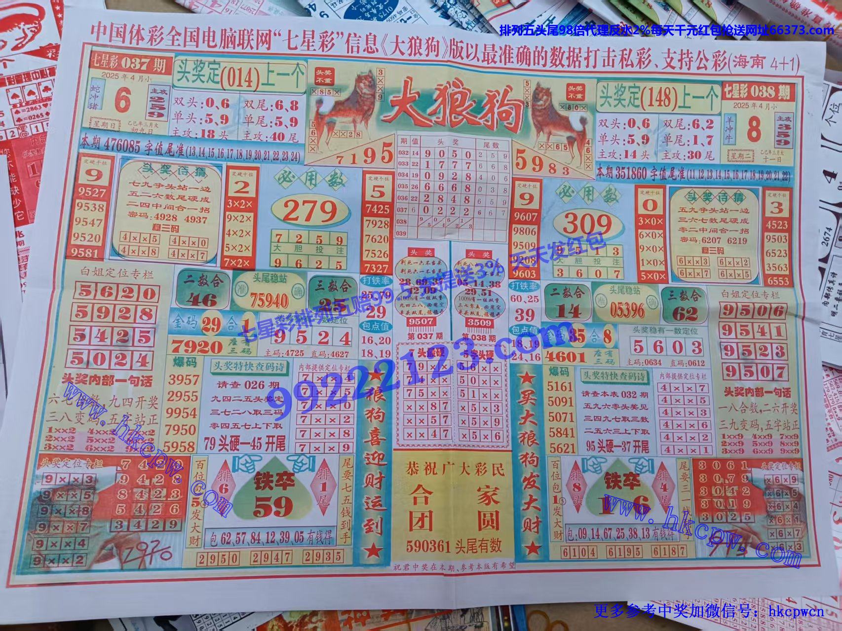 大狼狗 (1).jpg
