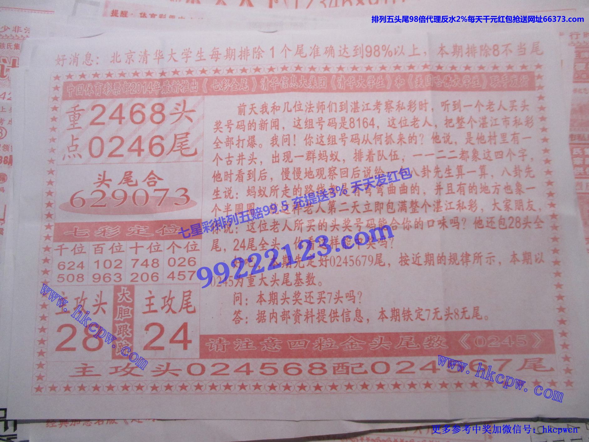 七彩金尾B.jpg