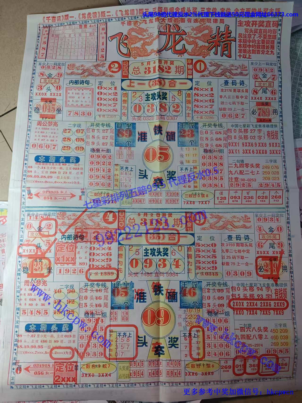 飞龙.jpg