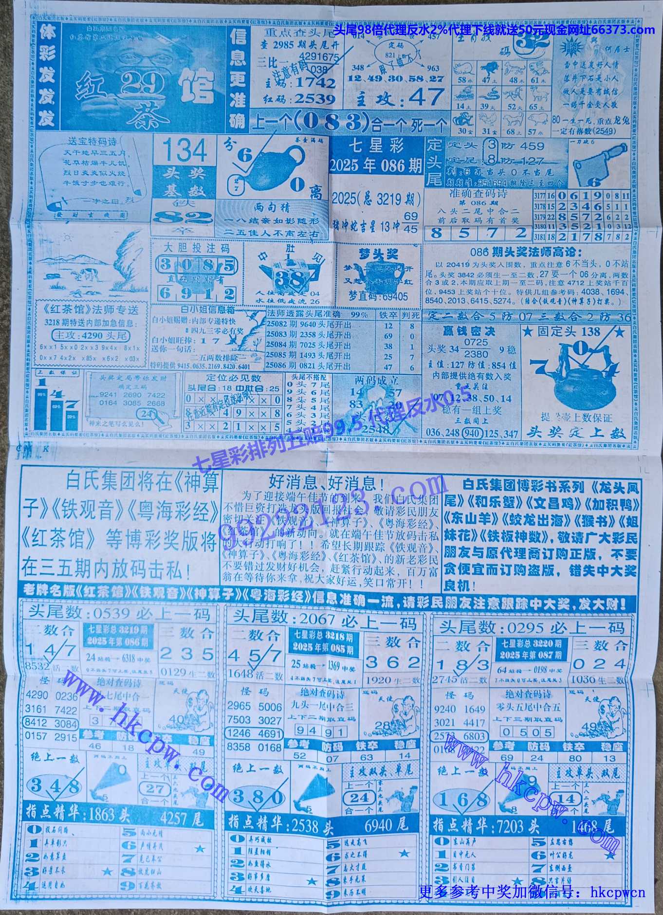 ���� (2).jpg