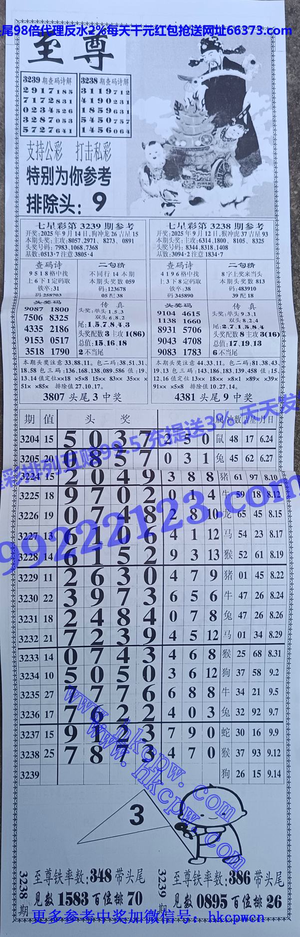 ���� (1).jpg