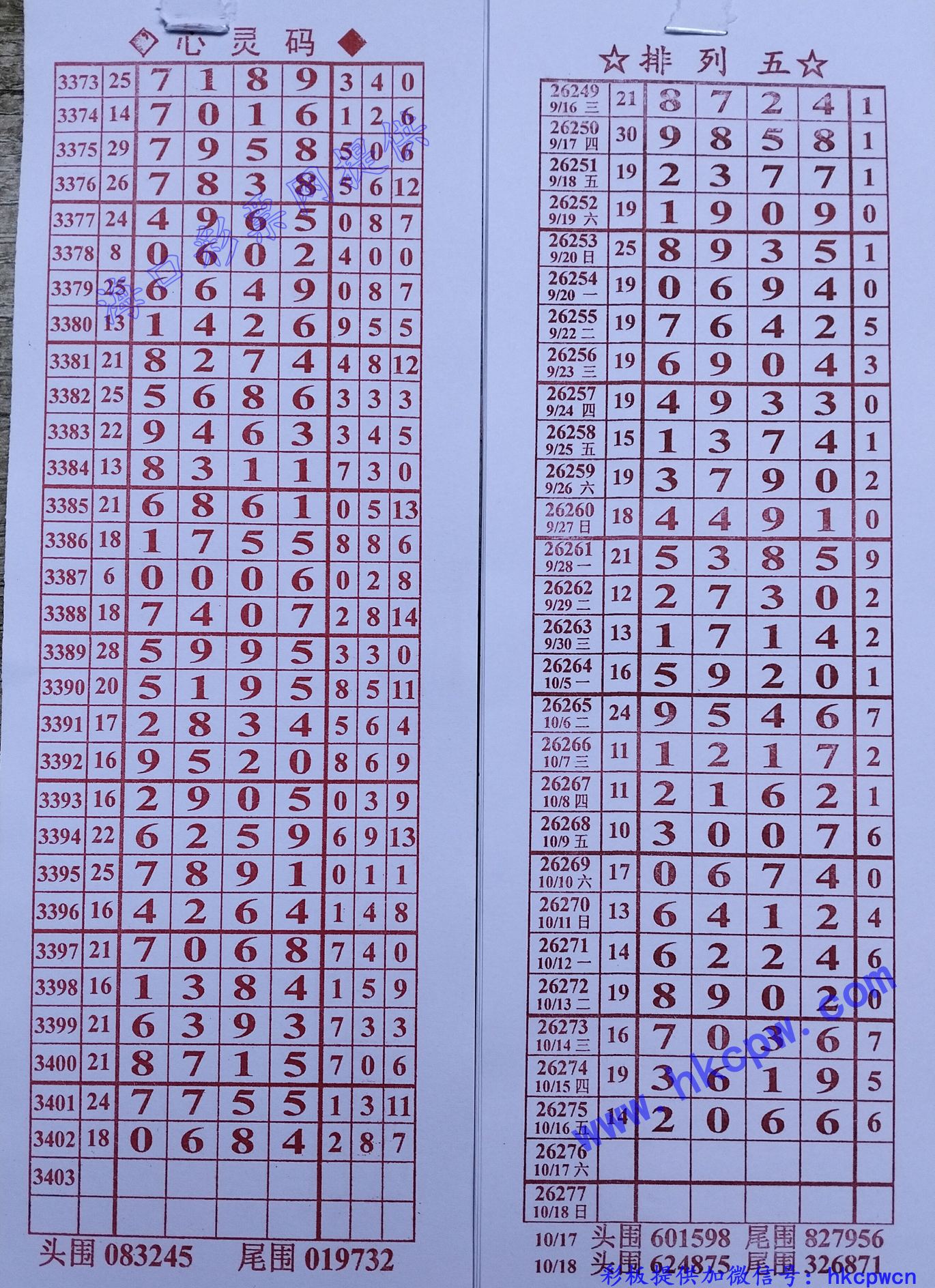 ����.jpg